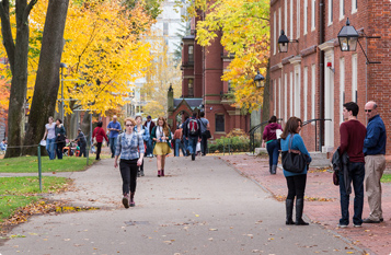 ddos在线攻击工具